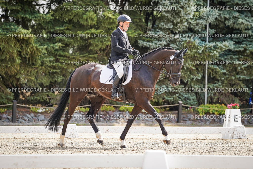 DSC08707 | Pferdegrafie