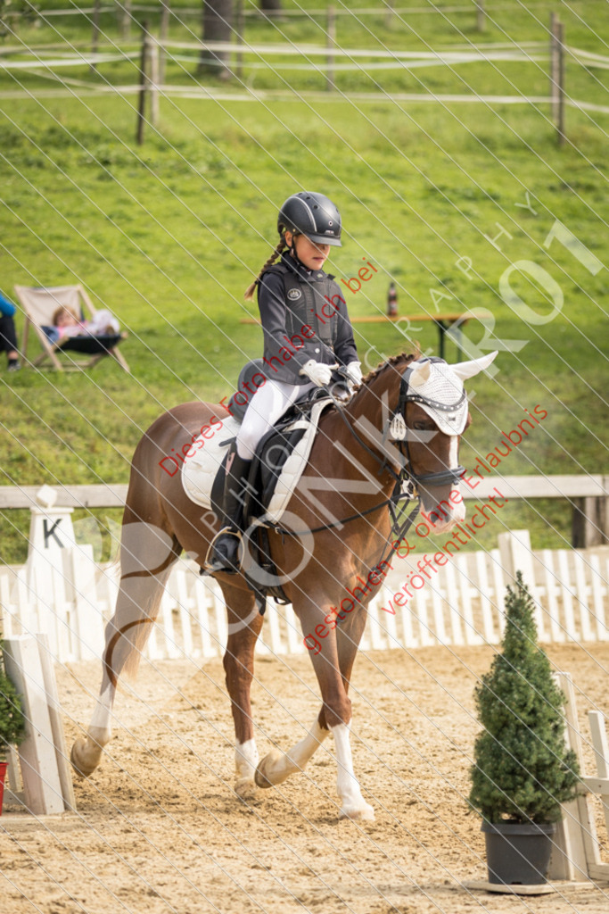 CON_0211 | Sport-, Event- und Tierfotos in Profiqualität. Einfach auswählen, bestellen und herunterladen. Dein Moment – perfekt festgehalten.