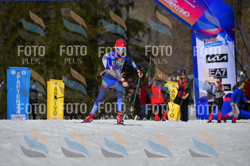 _DSC0504 | holidayphoto