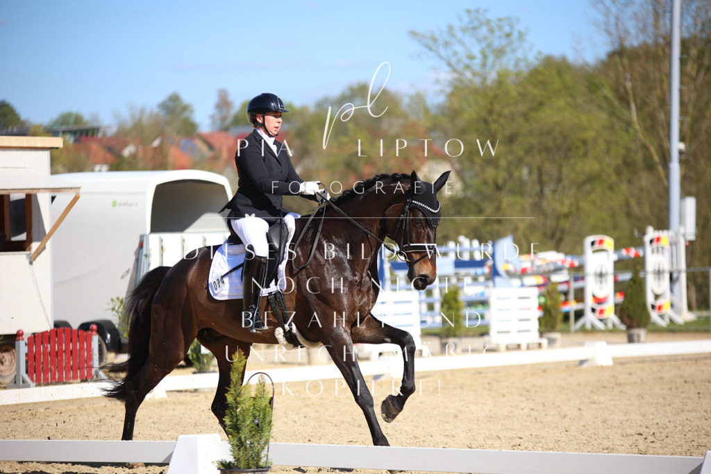 IMGT9009 | pl-fotografie