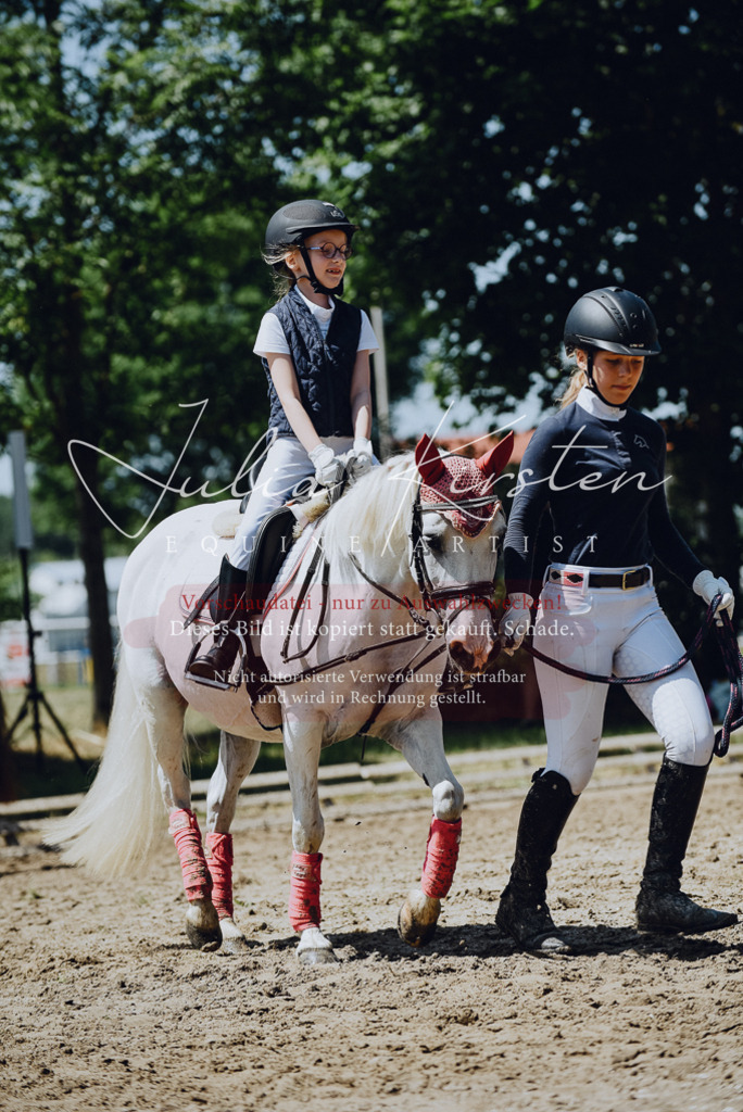DSC_2556 | Pferde- und Turnierfotografie in Westsachsen. Pferdeportraits, Auftragszeichnungen und intuitive Kunst.
