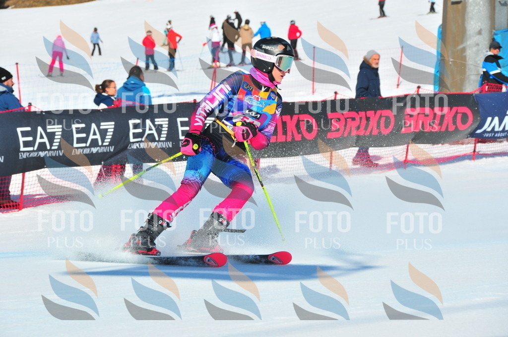 DSC_4105 | holidayphoto