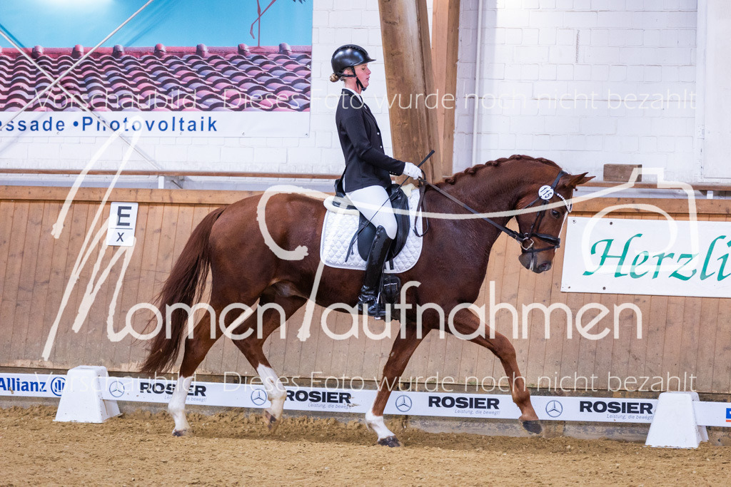 Sth-A-Dre-1St-205 | MomenTaufnahmen Pferdesportfotos