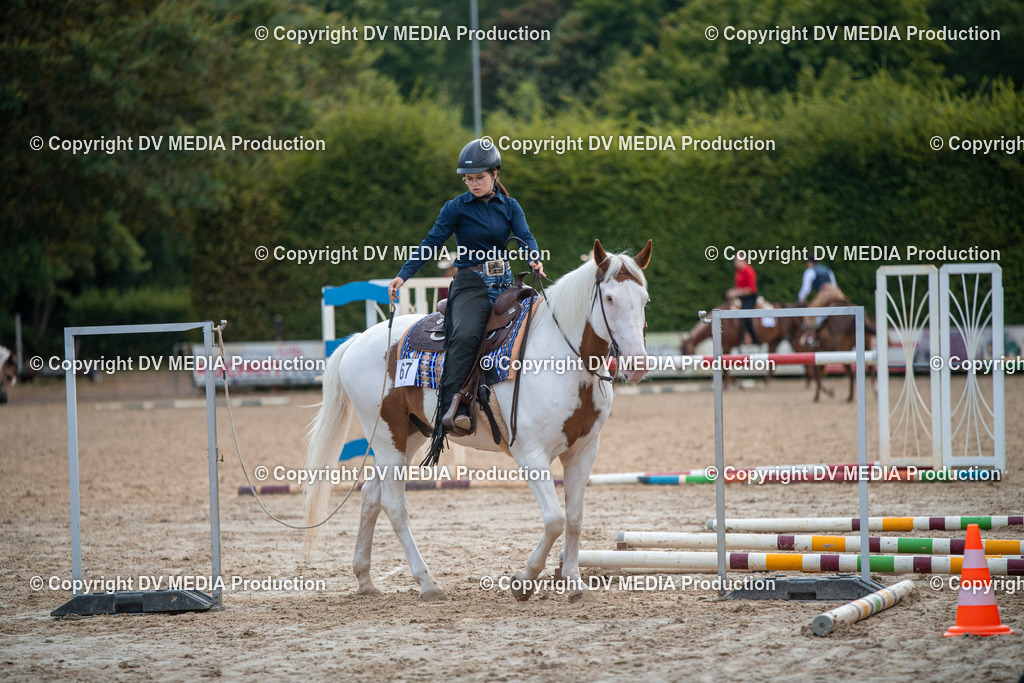 ZS3_9306 | dv-media-shop - Realisiert mit Pictrs.com