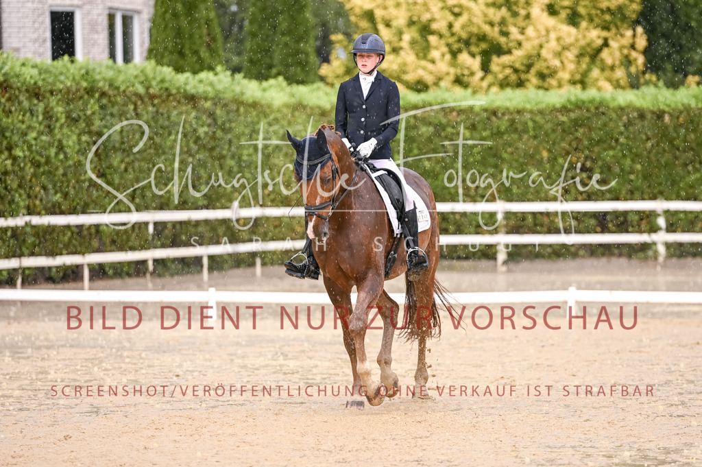 Schugtsche-Aluta25-55.Dressurreiterprf.L1Tr-367 | Schugtsche Fotografie - Realisiert mit Pictrs.com