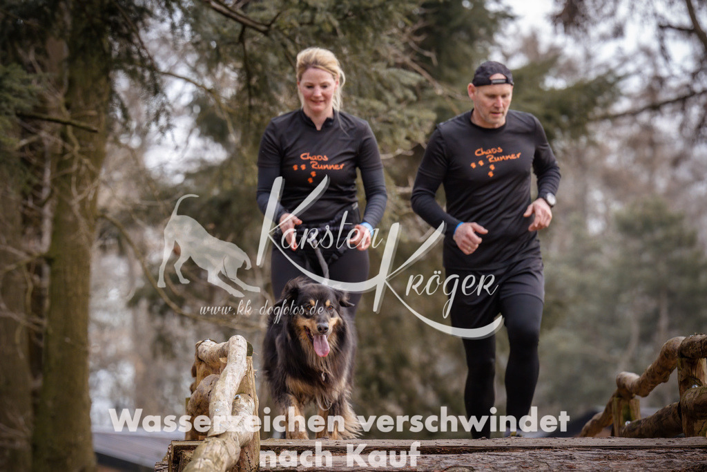 1628_ZZ94568 | kk-dogfotos