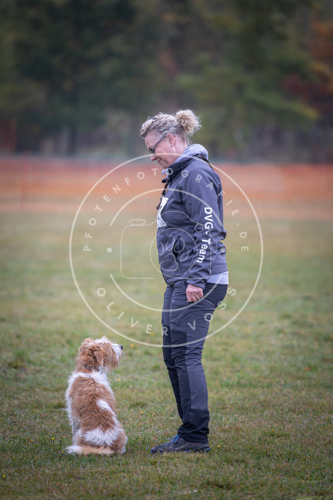 Pfotenfotografie_DV3A9225 | Hundefotografie, Tierfotograf, Pfotenfotografie, Fotoshooting Hund, Hunde Portrait, Hundesport, Hundeportraits, Heideshooting, Hunde, Sportfotograf, Hundefotograf, Turnierhundsport, THS,  - Realisiert mit Pictrs.com