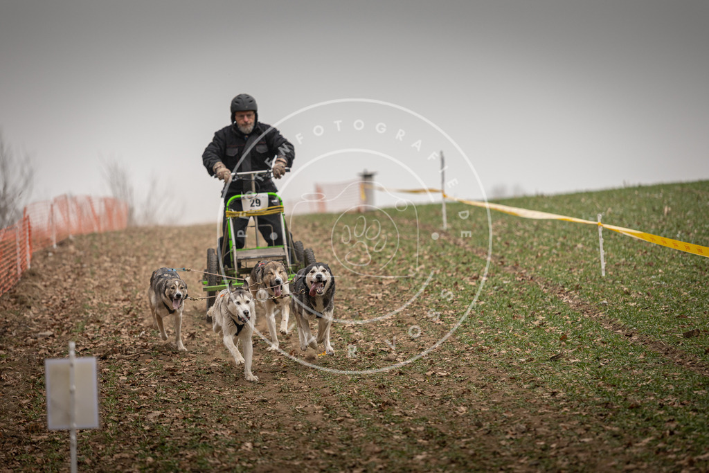 Pfotenfotografie_DV3A4436 | Hundefotografie, Tierfotograf, Pfotenfotografie, Fotoshooting Hund, Hunde Portrait, Hundesport, Hundeportraits, Heideshooting, Hunde, Sportfotograf, Hundefotograf, Turnierhundsport, THS,  - Realisiert mit Pictrs.com