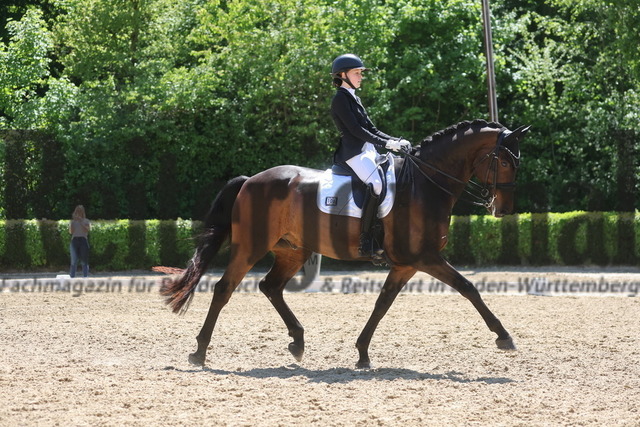 Böblingen_2025_Prfg.Nr.08_Dressurprüfung_Kl.M_Nürnberger Burgpokal_Lara Theis_FBW Felipe (14) | Alle Fotos der Reiterjournal Fotografin Doris Matthaes im Reiterjournal Online-Fotoshop. - Realisiert mit Pictrs.com