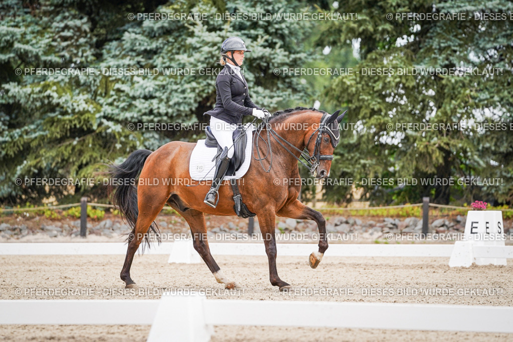 DSC02673 | Pferdegrafie