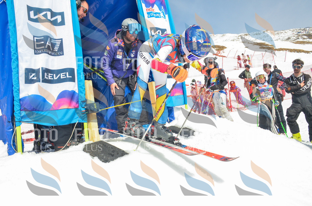 _ELE7101 | holidayphoto