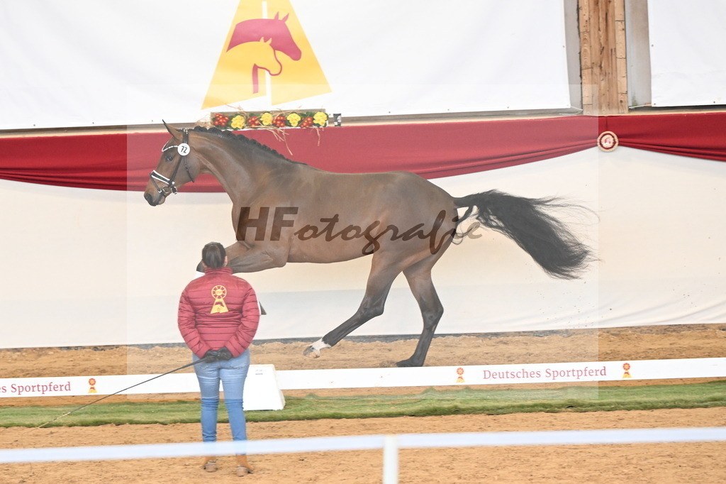Kat.-Nr. 72 v. Red Viper_Reesink_3260910 | hf-fotografie - Realizzato con Pictrs.com