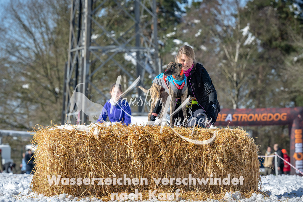 1205_ZZ91931-4 | kk-dogfotos