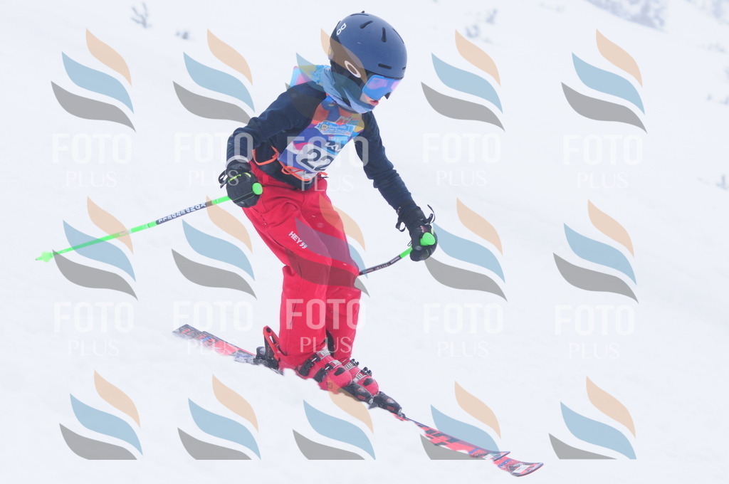 C2357 | holidayphoto