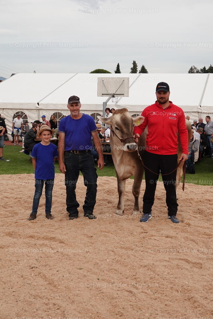 DSC08535 | Schwingen - Realisiert mit Pictrs.com