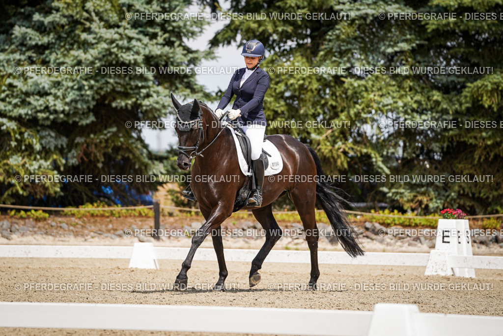 DSC02554 | Pferdegrafie