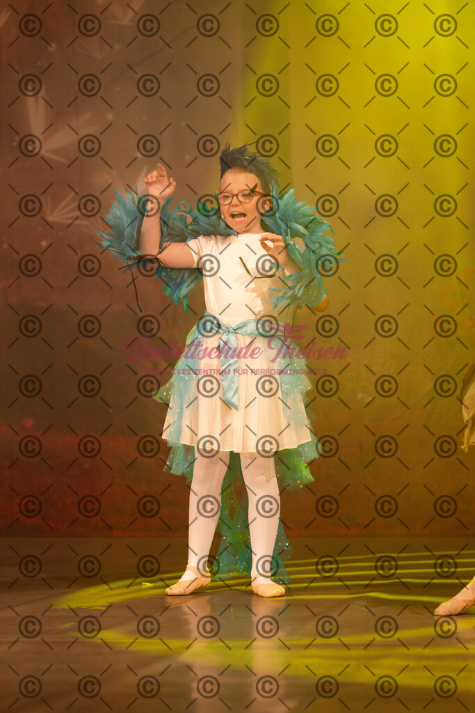 Ballettaufführung-1717 | Bildershop Lem'n Entertainment - Realisiert mit Pictrs.com