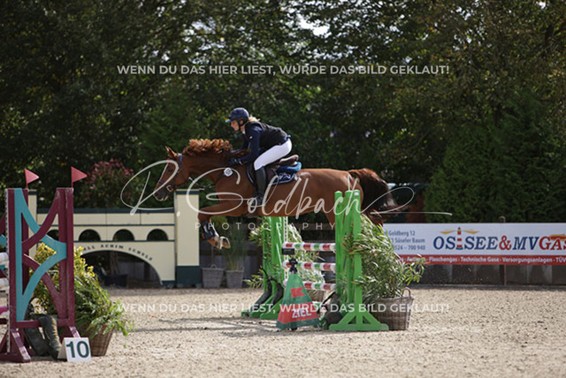 1J2A3220Christin Schulz_ Carsta AS_ Kn124_ Havekost | Foto- und Videografie für alles rund ums Pferd. Hochwertige Bilder und Videos vom Spring- und Dressurreiten, Voltigieren & mehr. Jetzt aktuelle Veranstaltungen und Preise im Shop ansehen. - Realisiert mit Pictrs.com