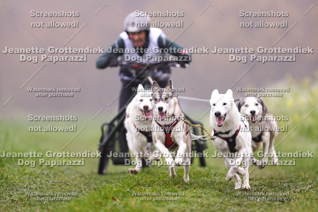 Dog Paparazzi - Visbeck 25 -19 | Dog Paparazzi Jeanette Grottendiek Fotografie & Videografie - Realisiert mit Pictrs.com