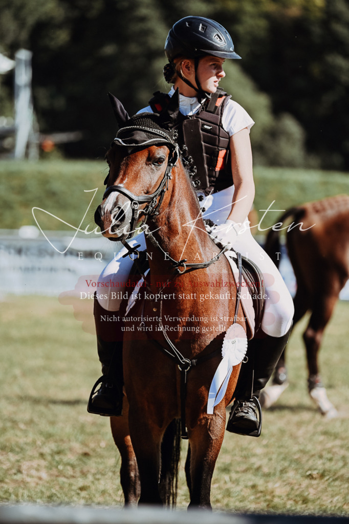 DSC_6984 | Pferde- und Turnierfotografie in Westsachsen. Pferdeportraits, Auftragszeichnungen und intuitive Kunst.