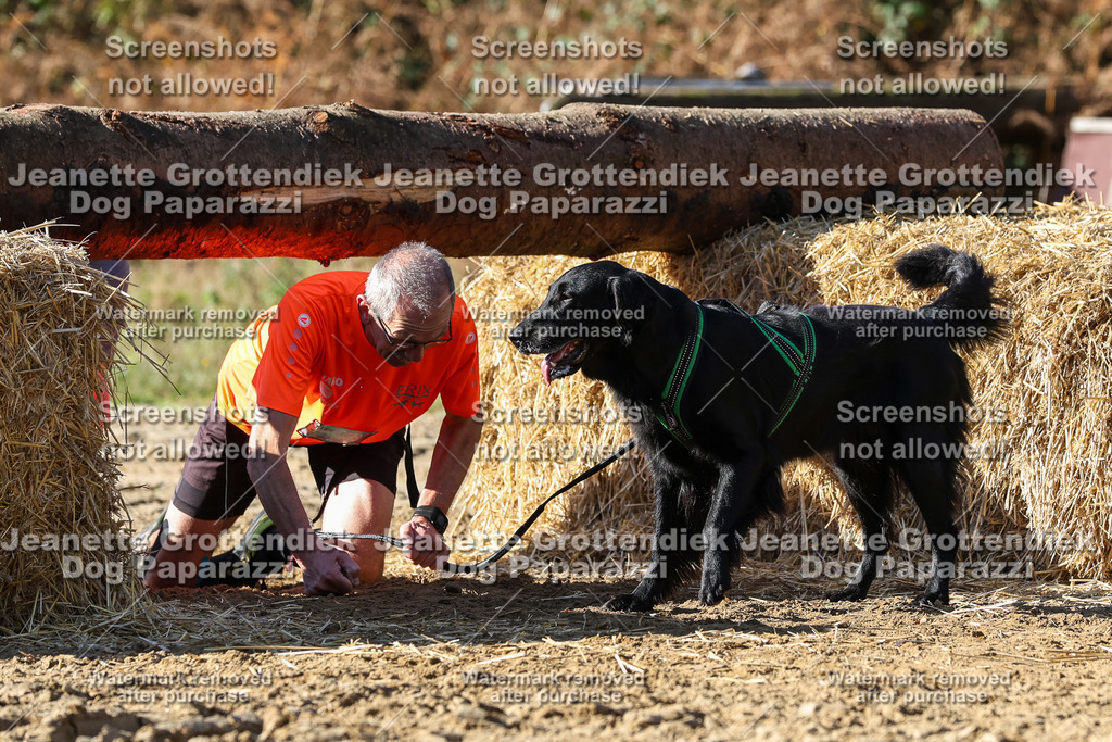 Dog Paparazzi - Strongdog 10-25-4673 | Dog Paparazzi Jeanette Grottendiek Fotografie & Videografie - Realisiert mit Pictrs.com