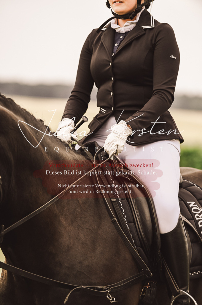 DSC_4932 | Pferde- und Turnierfotografie in Westsachsen. Pferdeportraits, Auftragszeichnungen und intuitive Kunst.