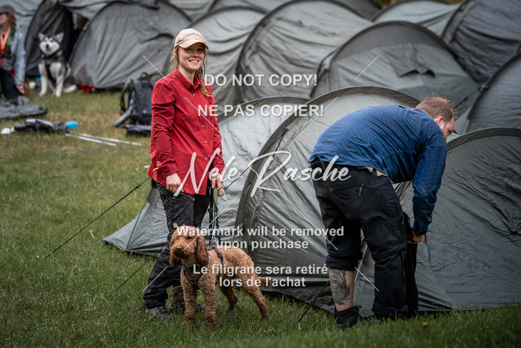 nelerasche_SaAbends_473 | nelerasche