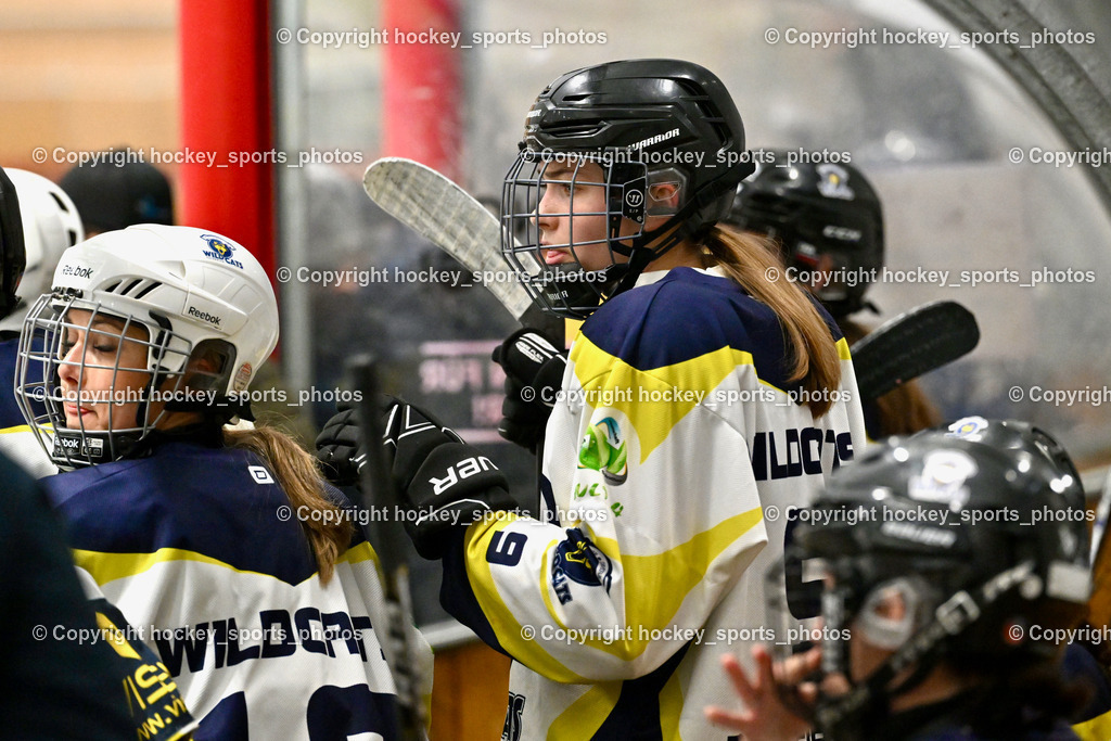 Wildcats Paternion vs. Lady Hawks  | Spielerbank Wildcats Paternion, #19 Knes Julia WILDCATS PATERNION, #9 Neumann Magdalena WILDCATS PATERNION, Wildcats Paternion vs. Lady Hawks , Wildcats Paternion vs. Lady Hawks  am 27.01.2025 in Spittal an der Drau (Eissportzentrum Spittal), Austria, (Photo by Bernd Stefan)