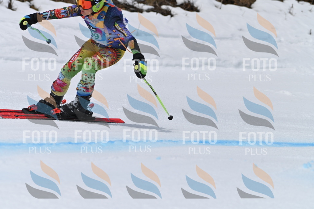 BGV_3843 | holidayphoto