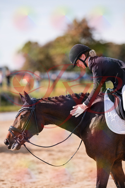 2026_10_03_Siefer-Hof_125903_Z81_50567197 | Professionelle Reitsport-, Turnier- und Eventfotografie von Robert Broda. Galerien mit ausgewählten und bearbeiteten Bildern direkt online ansehen und bestellen.