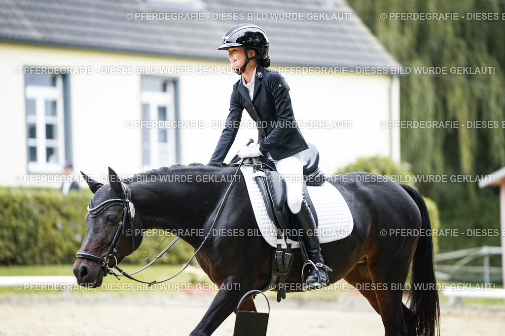 DSC09603 | Pferdegrafie