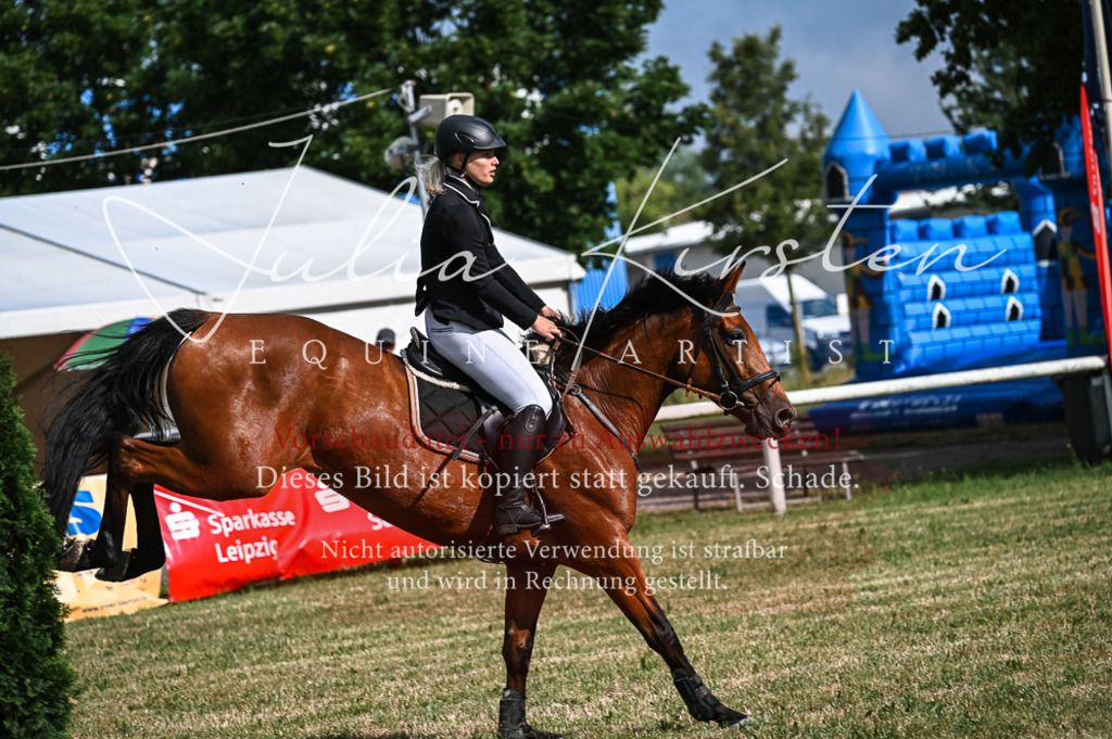 DSC_7801 | Pferde- und Turnierfotografie in Westsachsen. Pferdeportraits, Auftragszeichnungen und intuitive Kunst.
