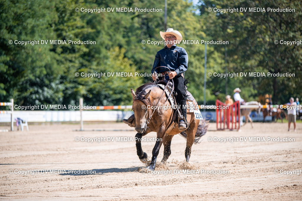 ZS1_0948 | dv-media-shop - Realisiert mit Pictrs.com