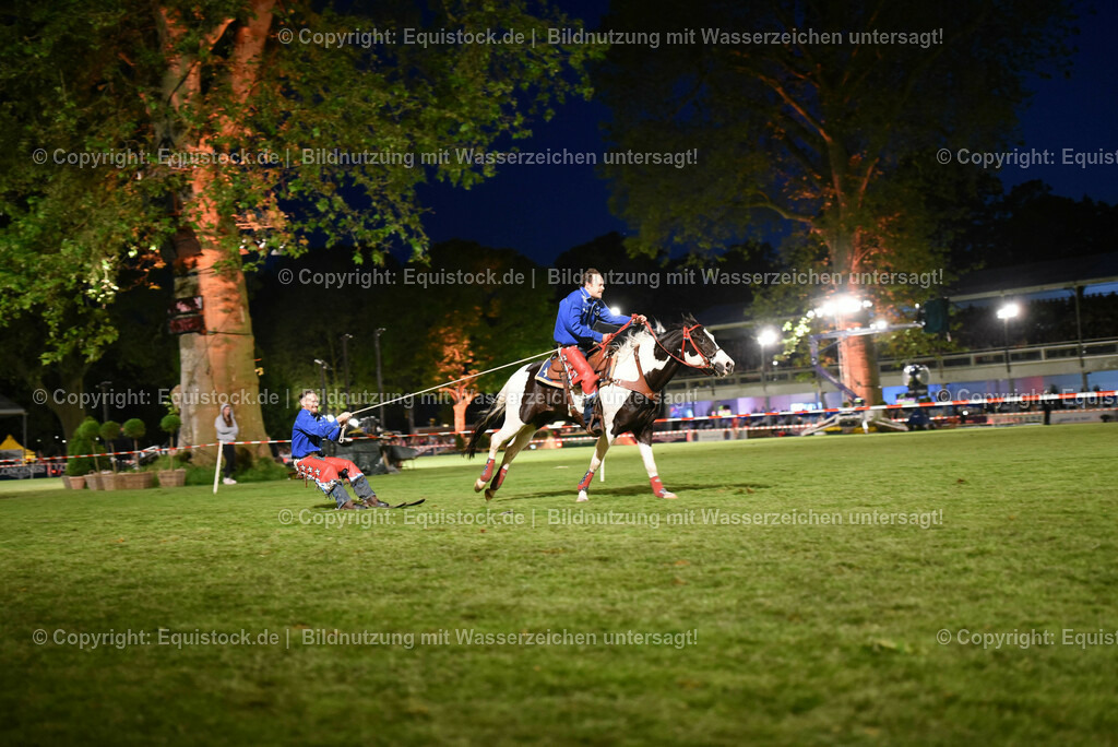 20230526_Pferdenacht_1321 | equistock