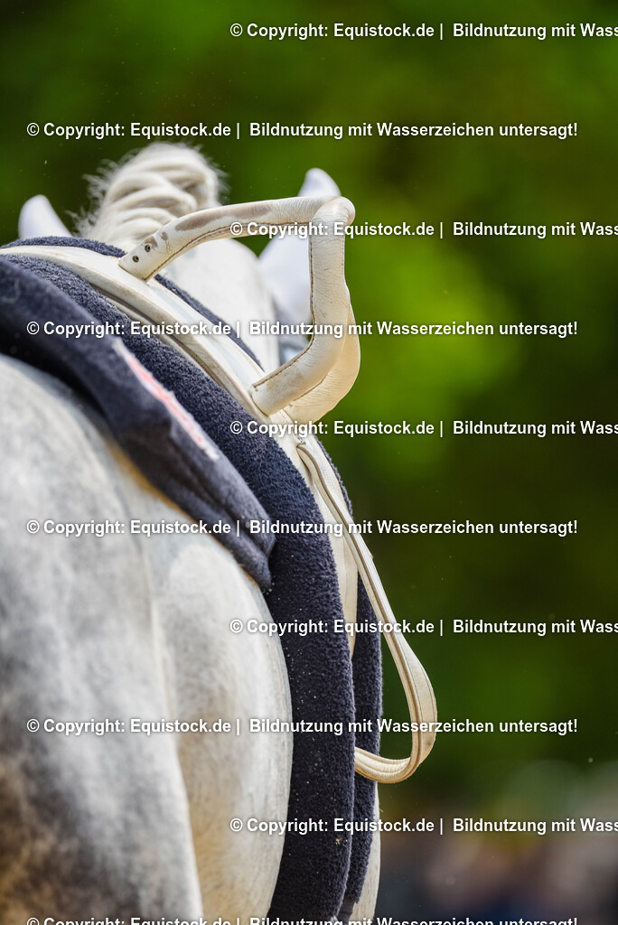 20250608_CVI-Masterclass_0113 | Foto: Thomas Hartig