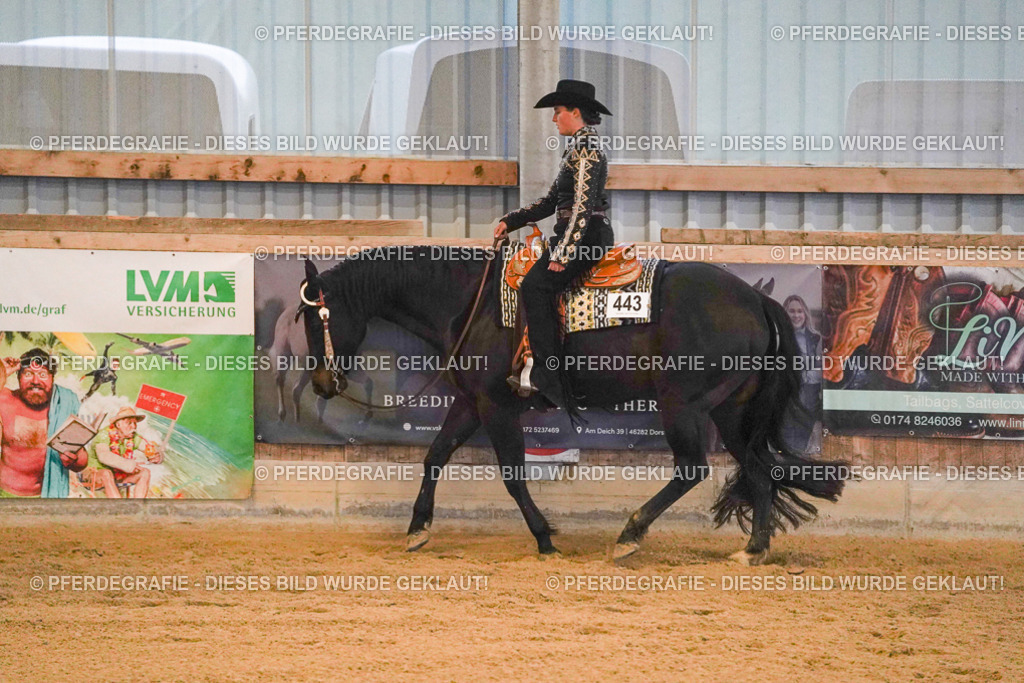 DSC08563 | Pferdegrafie