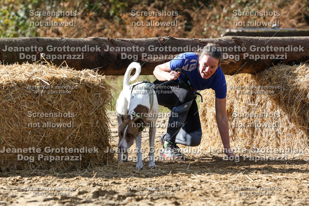 Dog Paparazzi - Strongdog 10-25-5482 | Dog Paparazzi Jeanette Grottendiek Fotografie & Videografie - Realisiert mit Pictrs.com