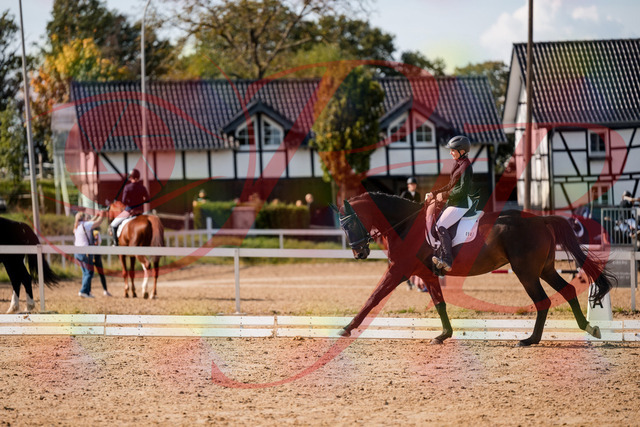 2026_10_03_Siefer-Hof_133657_Z63_98884063 | Professionelle Reitsport-, Turnier- und Eventfotografie von Robert Broda. Galerien mit ausgewählten und bearbeiteten Bildern direkt online ansehen und bestellen.