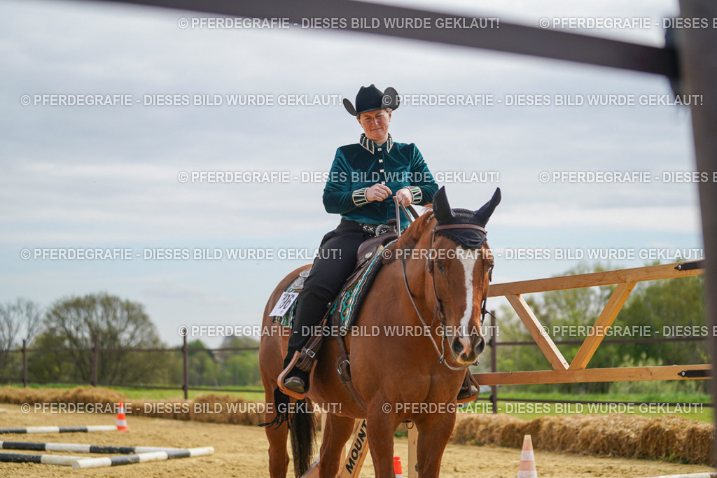 DSC03615 | Pferdegrafie