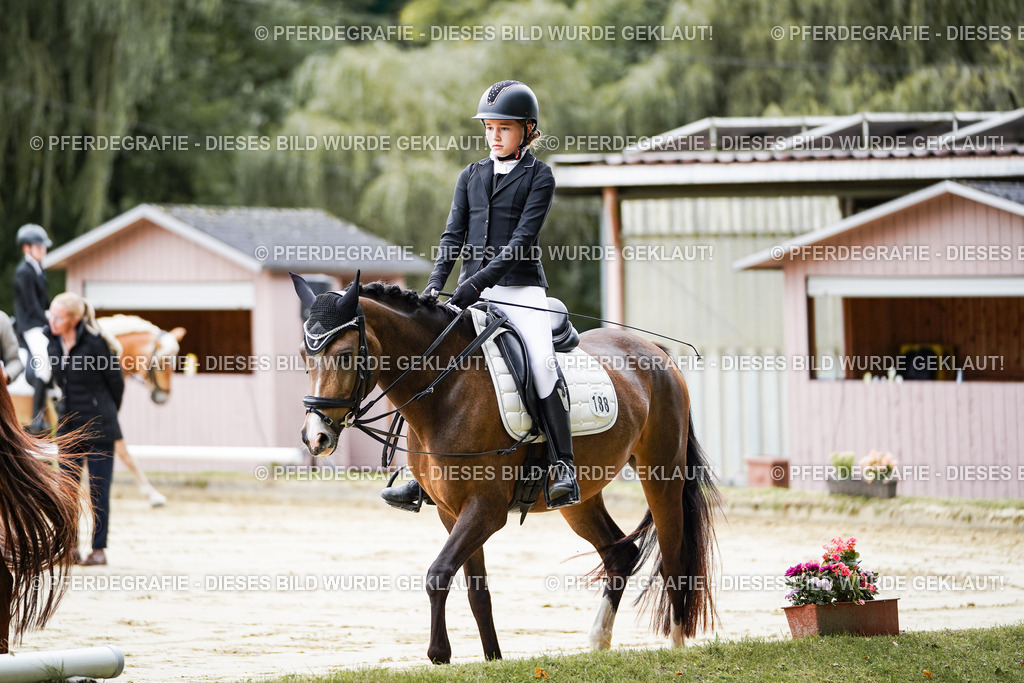 DSC04471 | Pferdegrafie