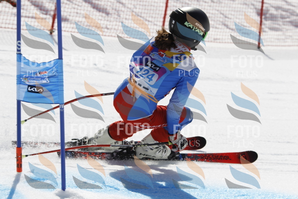 _U3G0780 | holidayphoto