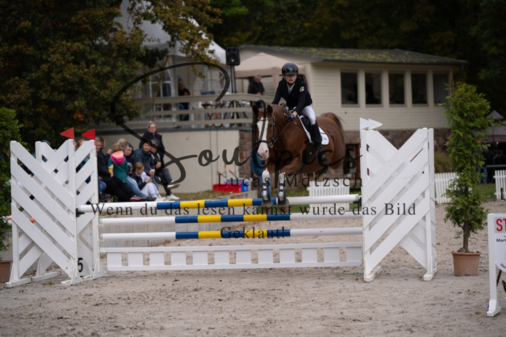 A7V09448 | Pferdefotograf