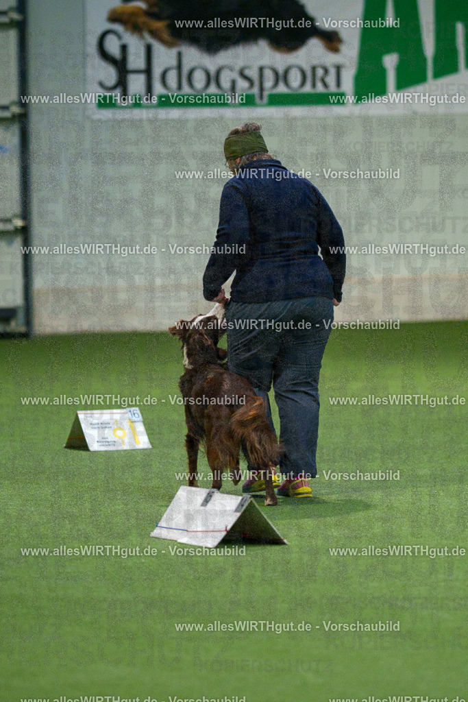 7R504998 | Professionelle Tierfotografie in Mönchengladbach von Daniel Wirth (allesWIRTHgut). Liebevolle & natürliche Bilder von Hunden & Katzen für unvergessliche Erinnerungen.