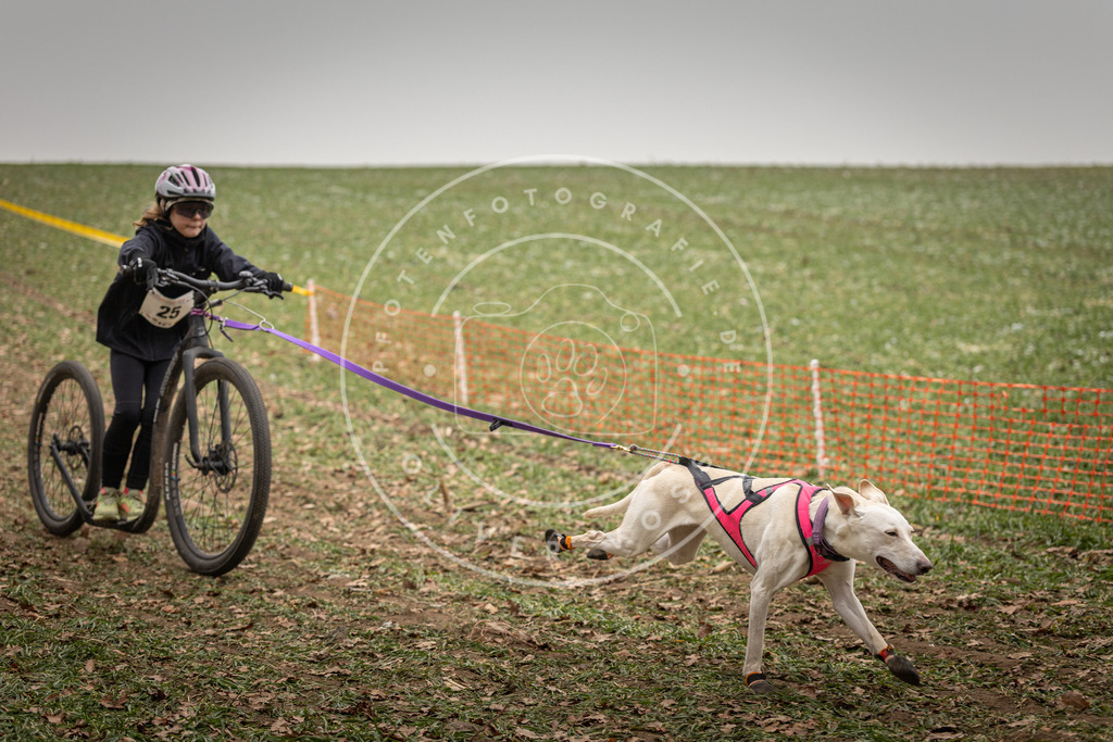Pfotenfotografie_DV3A3732 | Hundefotografie, Tierfotograf, Pfotenfotografie, Fotoshooting Hund, Hunde Portrait, Hundesport, Hundeportraits, Heideshooting, Hunde, Sportfotograf, Hundefotograf, Turnierhundsport, THS,  - Realisiert mit Pictrs.com