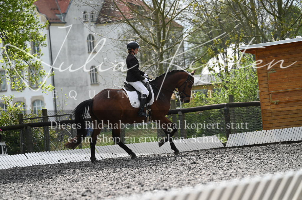20230512_JK-Röhrsdorf-08-229 | Pferde- und Turnierfotografie in Westsachsen. Pferdeportraits, Auftragszeichnungen und intuitive Kunst.