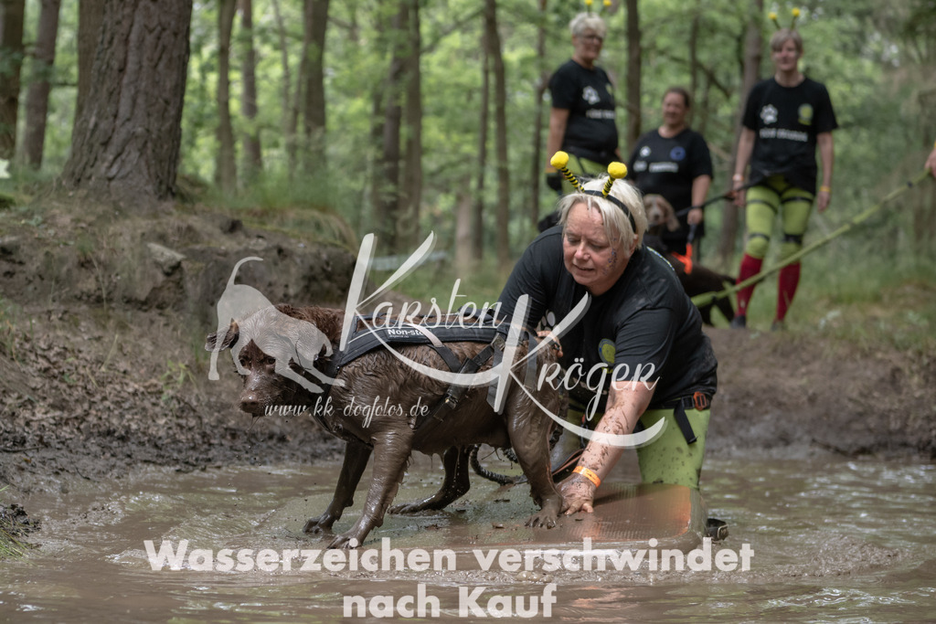 1336_ZZ94893 | kk-dogfotos