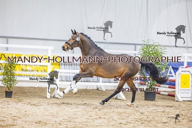 29 (5 von 45) | mandyhollmannphotographie