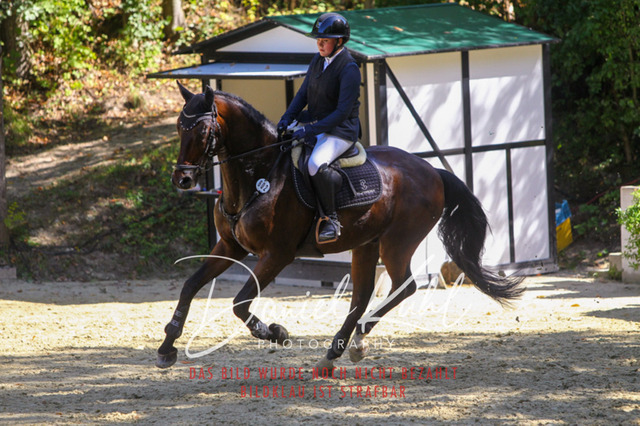 DKP43194 | Deine Turnierfotos vom Reitturnier online kaufen: Dressur, Springen & Siegerehrung. Professionelle Pferdefotografie aus dem Rheinland – als Download & Print.Alternative: Turnierfotograf für den Pferdesport: Finde deine Fotos von Dressur- und Springturnier