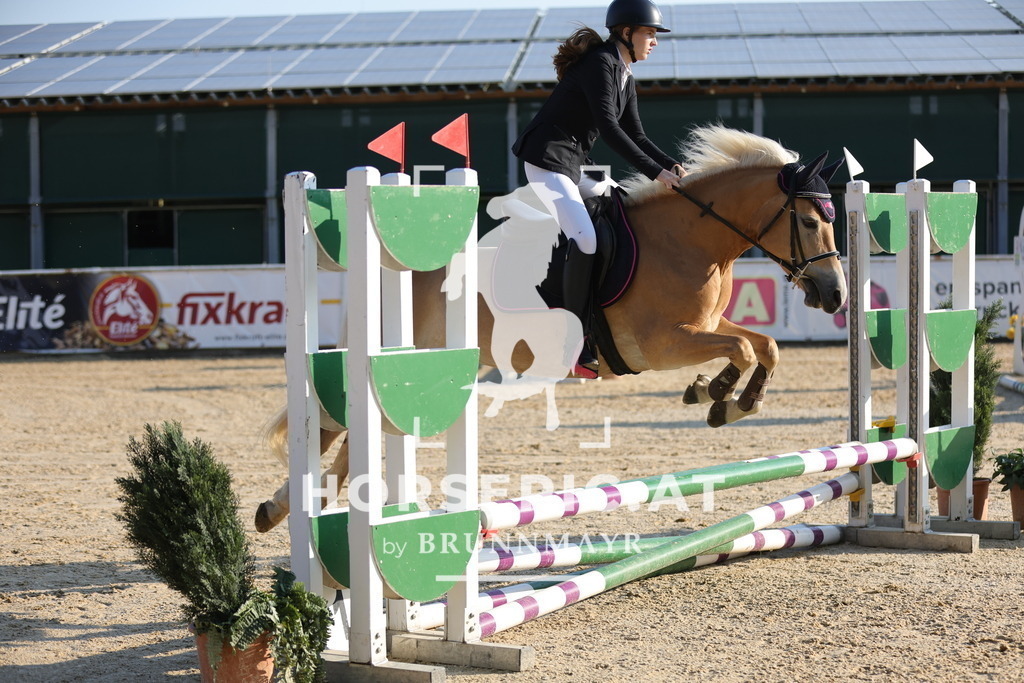 0P6A4017 | Willkommen bei Brunnmayr - Design & Fotografie – Ihrem Spezialisten für Reitturniere und Pferdeveranstaltungen in Oberösterreich, Salzburg und Bayern! Seit über 17 Jahren sind wir leidenschaftlich dabei.