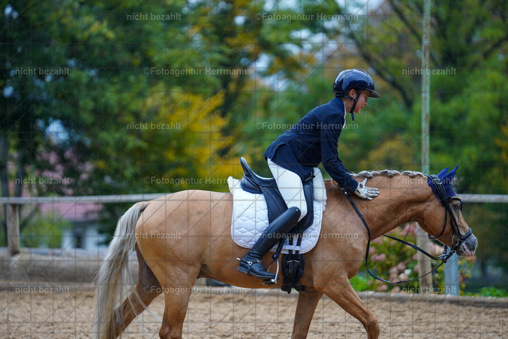 20221008-FAH02011 | Diessen am Ammersee, 2022, Dressur- und Springturnier, Reitsportbilder, Turnierfotografen Bayern, Pferdefotografen, Fotoagentur Herrmann, Turnierbilder